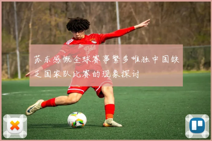 苏东感慨全球赛事繁多唯独中国缺乏国家队比赛的现象探讨