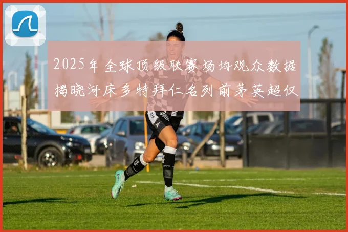2025年全球顶级联赛场均观众数据揭晓河床多特拜仁名列前茅英超仅排第20位