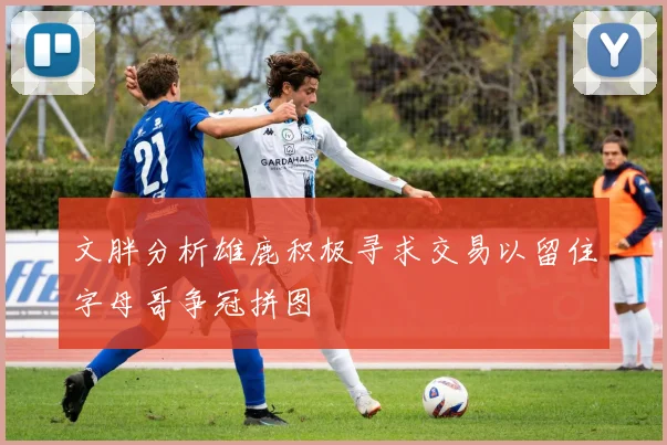 文胖分析雄鹿积极寻求交易以留住字母哥争冠拼图