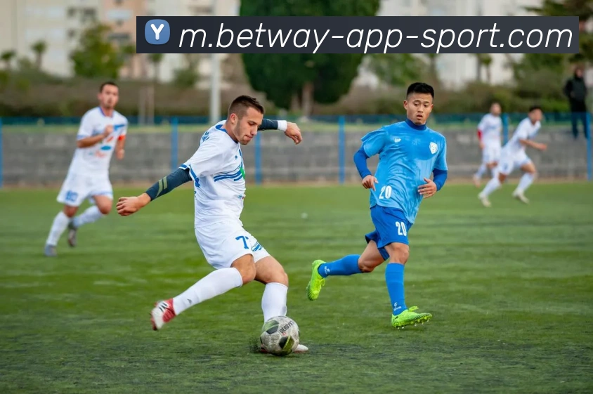 必威体育平台生态图