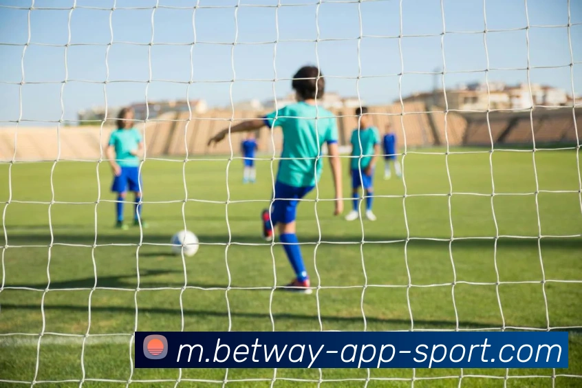 必威体育APP 封面图